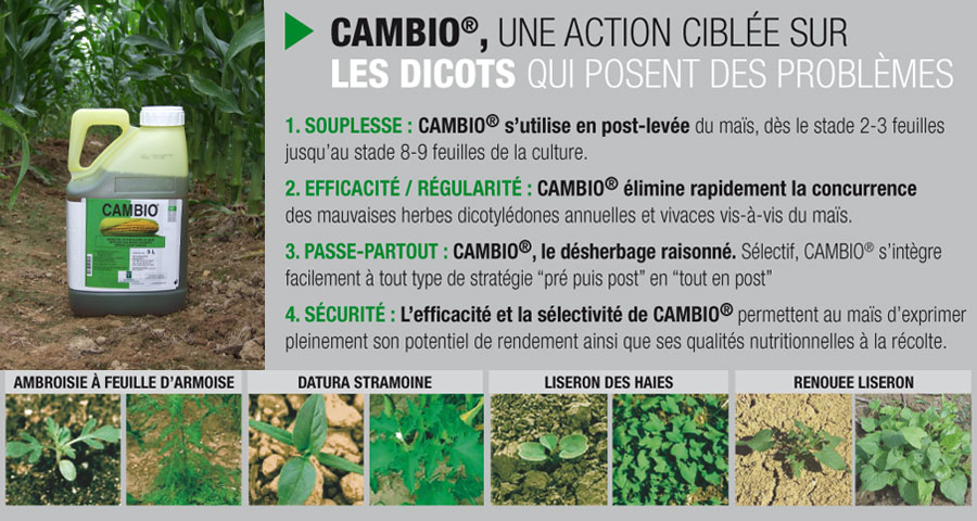 Les cl�s de votre d�sherbage