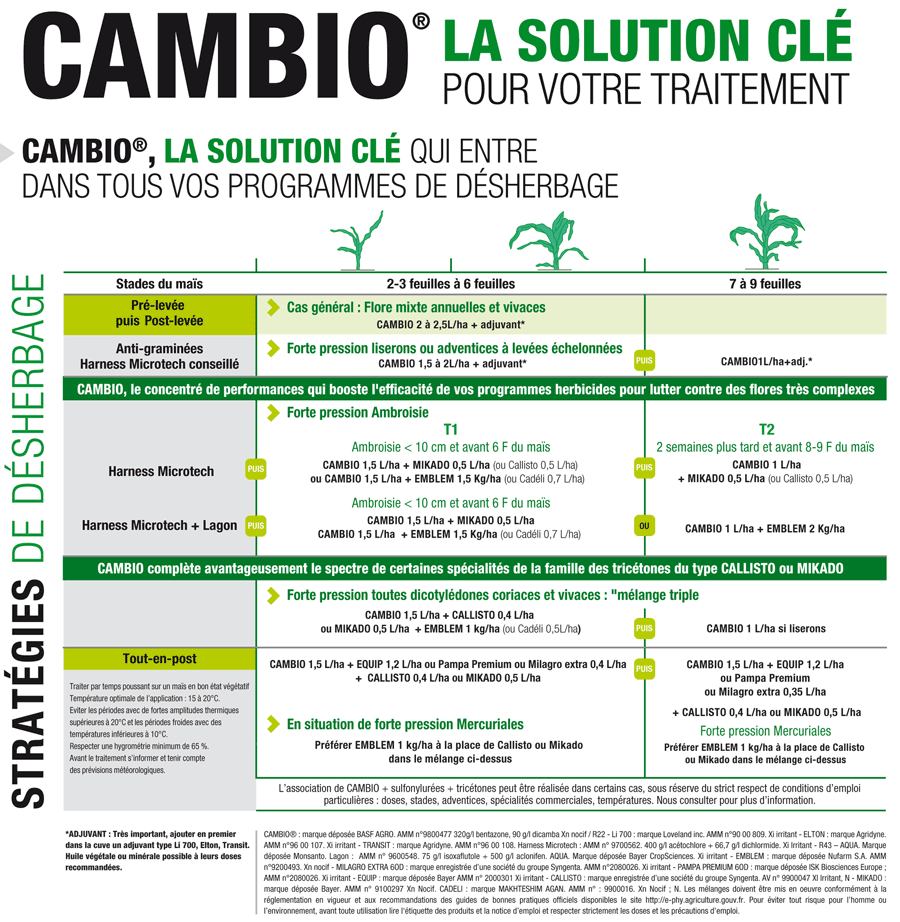 Strat�gies de traitement