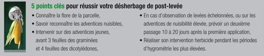 Un d�sherbage raisonn� pour une agriculture raisonnable